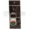 Keyring Torch Wales