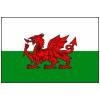 Flag Wales 3x5