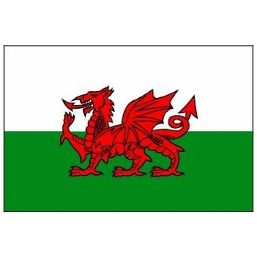 Flag Wales 3x5