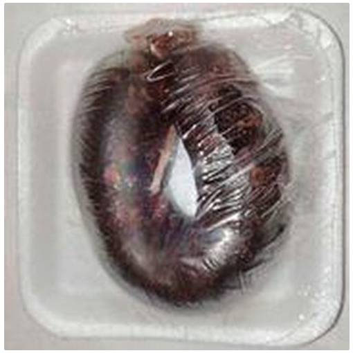 Cameron Scottish Black Pudding