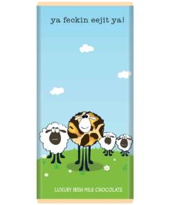 SLK Ya Feckin Eejit Ya